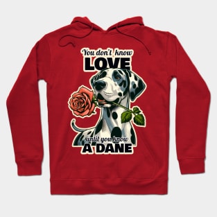 Great Dane Valentine's day Hoodie